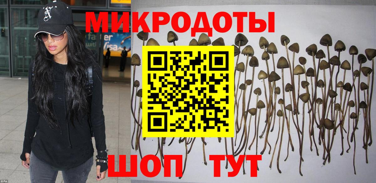 Галлюциногенные грибы Psilocybe  Вход с VPN  Глазов 