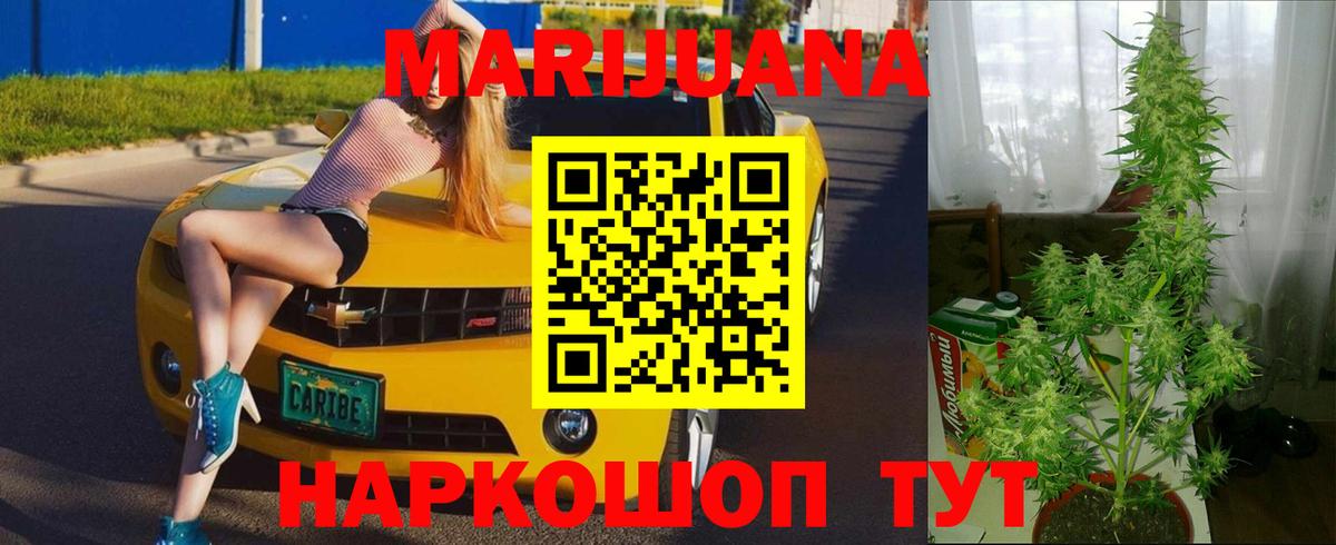 Конопля план Глазов